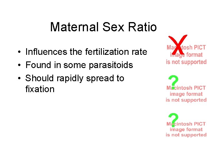 Maternal Sex Ratio • Influences the fertilization rate • Found in some parasitoids •