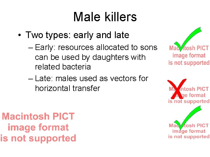 Male killers • Two types: early and late – Early: resources allocated to sons