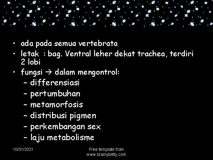  • ada pada semua vertebrata • letak : bag. Ventral leher dekat trachea,