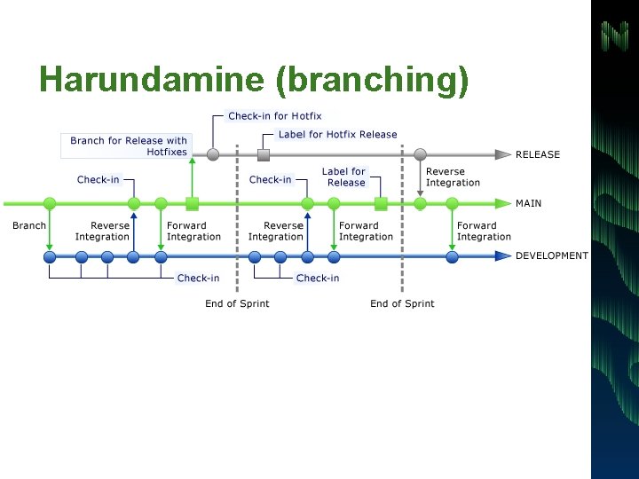 Harundamine (branching) 