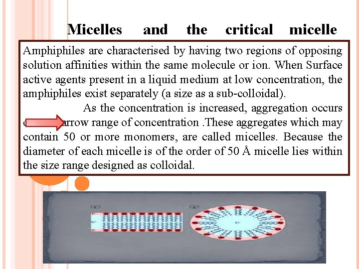 Micelles and the critical micelle Amphiphiles are characterised by having two regions of opposing