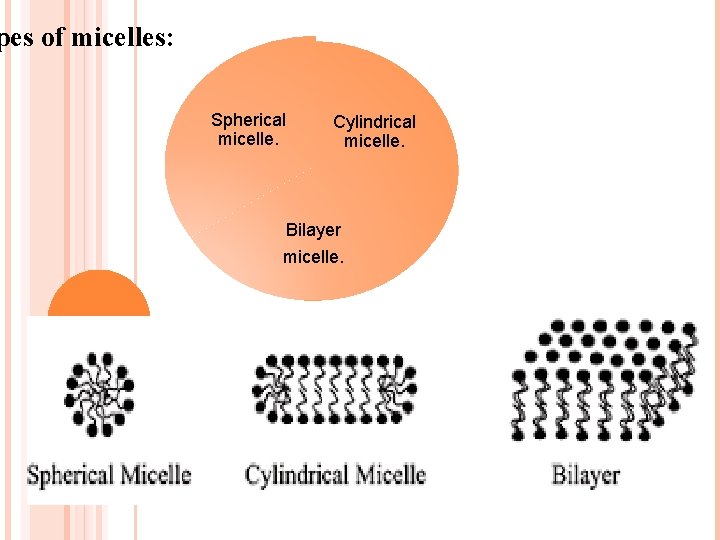 pes of micelles: Spherical micelle. Cylindrical micelle. Bilayer micelle. 