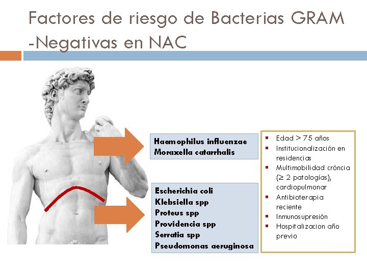 Factores de riesgo de Bacterias GRAM -Negativas en NAC Haemophilus influenzae Moraxella catarrhalis Escherichia