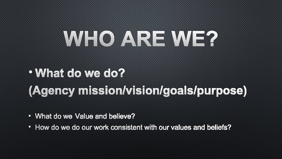 WHO ARE WE? • WHAT DO WE DO? (AGENCY MISSION/VISION/GOALS/PURPOSE) • WHAT DO WE