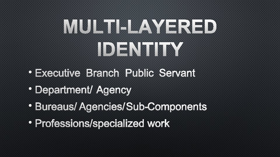MULTI-LAYERED IDENTITY • EXECUTIVE BRANCH PUBLIC SERVANT • DEPARTMENT/AGENCY • BUREAUS/AGENCIES/SUB-COMPONENTS • PROFESSIONS/SPECIALIZED WORK