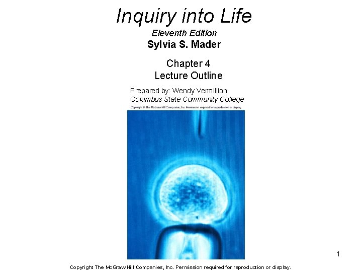 Inquiry into Life Eleventh Edition Sylvia S. Mader Chapter 4 Lecture Outline Prepared by: