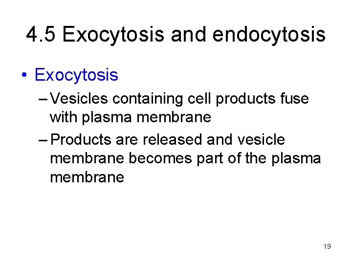 4. 5 Exocytosis and endocytosis • Exocytosis – Vesicles containing cell products fuse with