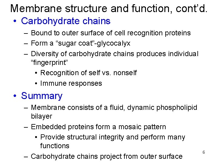 Membrane structure and function, cont’d. • Carbohydrate chains – Bound to outer surface of