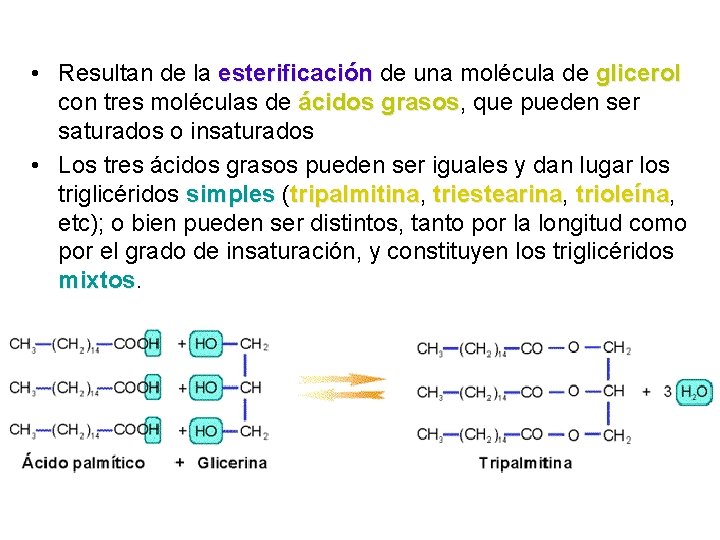  • Resultan de la esterificación de una molécula de glicerol con tres moléculas