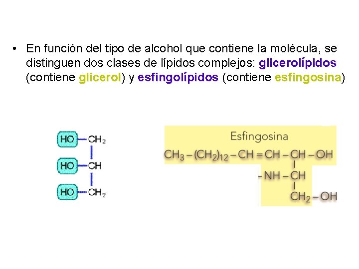  • En función del tipo de alcohol que contiene la molécula, se distinguen