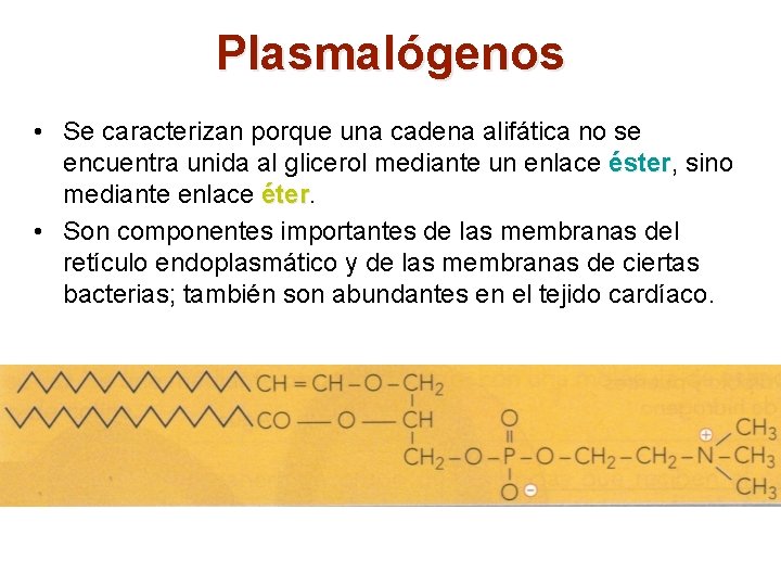 Plasmalógenos • Se caracterizan porque una cadena alifática no se encuentra unida al glicerol