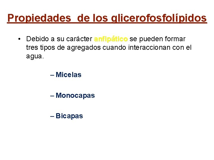 Propiedades de los glicerofosfolípidos • Debido a su carácter anfipático se pueden formar tres