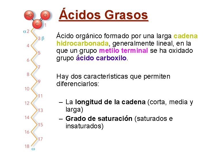 Ácidos Grasos • Ácido orgánico formado por una larga cadena hidrocarbonada, hidrocarbonada generalmente lineal,