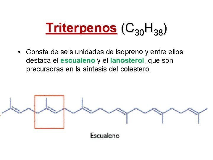 Triterpenos (C 30 H 38) • Consta de seis unidades de isopreno y entre