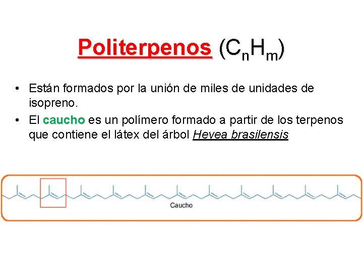 Politerpenos (Cn. Hm) • Están formados por la unión de miles de unidades de