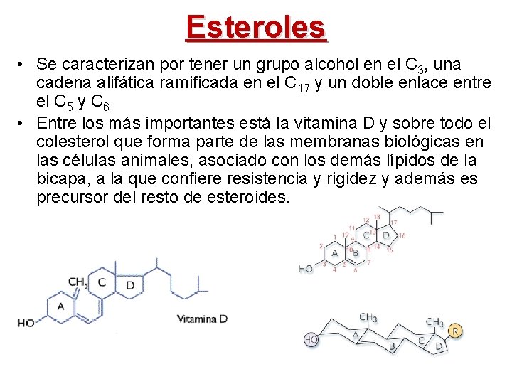 Esteroles • Se caracterizan por tener un grupo alcohol en el C 3, una