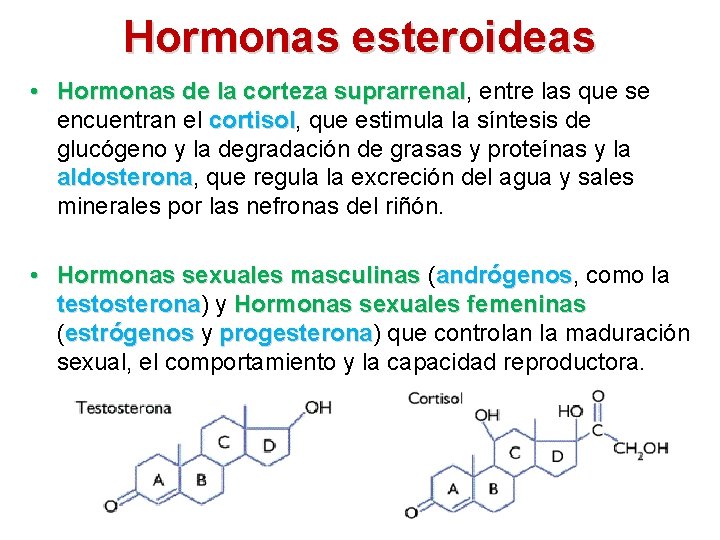 Hormonas esteroideas • Hormonas de la corteza suprarrenal, suprarrenal entre las que se encuentran