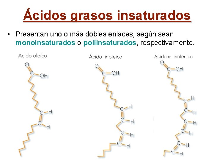 Ácidos grasos insaturados • Presentan uno o más dobles enlaces, según sean monoinsaturados o