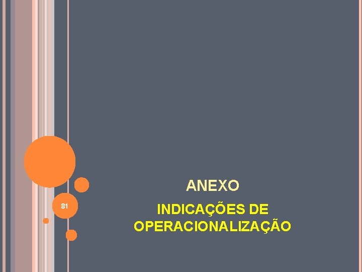 ANEXO 81 INDICAÇÕES DE OPERACIONALIZAÇÃO 