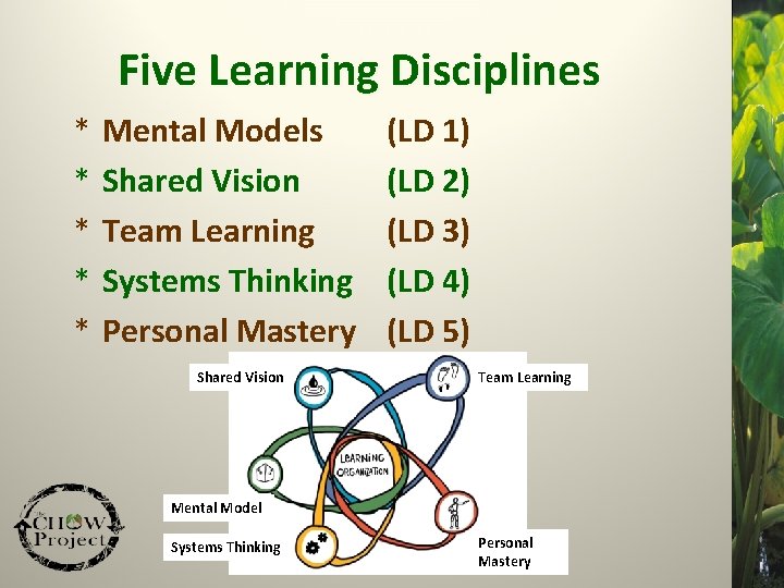 Creating and Sustaining a Learning Organization Community Health