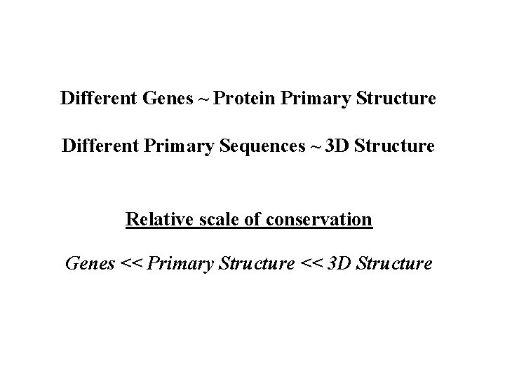 Different Genes ~ Protein Primary Structure Different Primary Sequences ~ 3 D Structure Relative