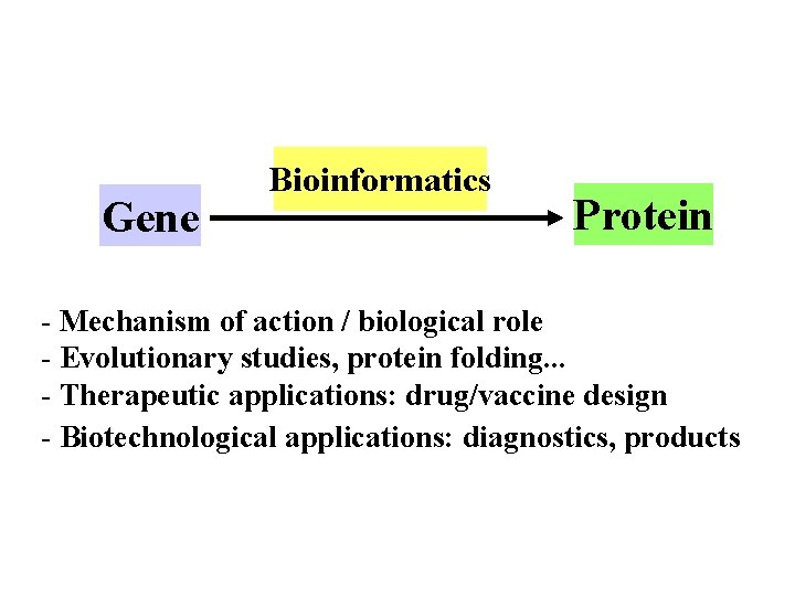 Gene Bioinformatics Protein - Mechanism of action / biological role - Evolutionary studies, protein