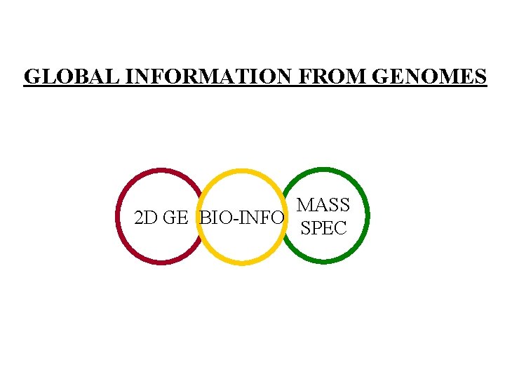 GLOBAL INFORMATION FROM GENOMES MASS 2 D GE BIO-INFO SPEC 