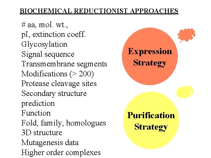 BIOCHEMICAL REDUCTIONIST APPROACHES # aa, mol. wt. , p. I, extinction coeff. Glycosylation Signal