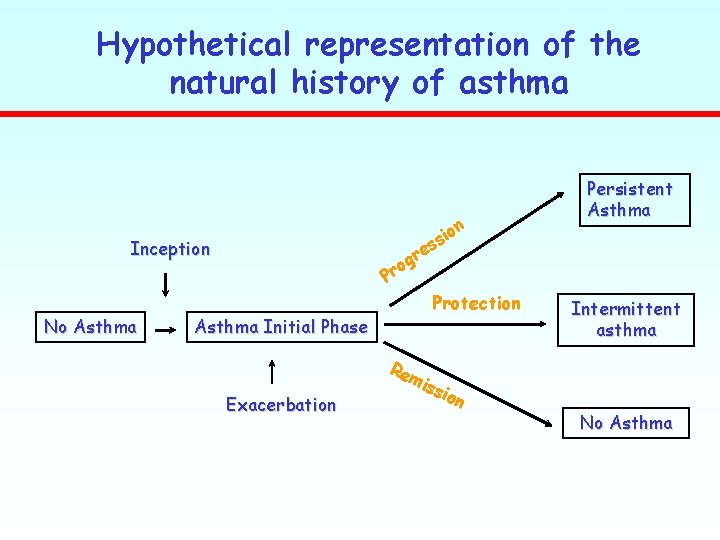 Hypothetical representation of the natural history of asthma n Inception No Asthma sio s