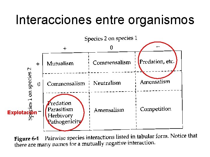 Interacciones entre organismos Explotación 