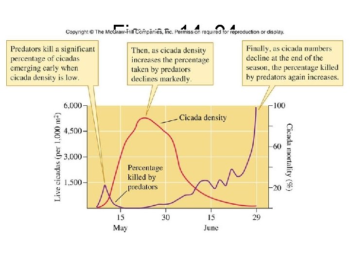 Figure 14_24 