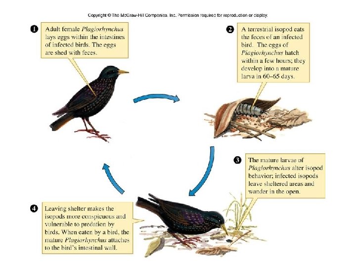 Figure 14_02 