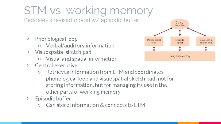 STM vs. working memory Baddeley’s revised model w/ episodic buffer ▷ ▷ Phonological loop