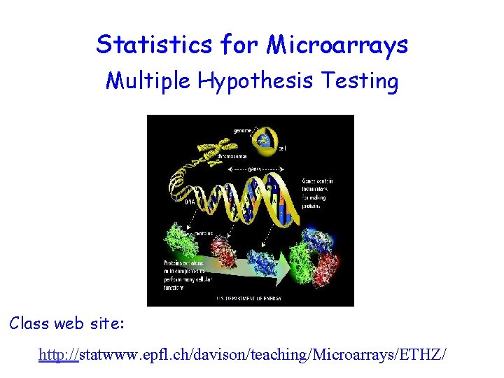 Statistics for Microarrays Multiple Hypothesis Testing Class web site: http: //statwww. epfl. ch/davison/teaching/Microarrays/ETHZ/ 
