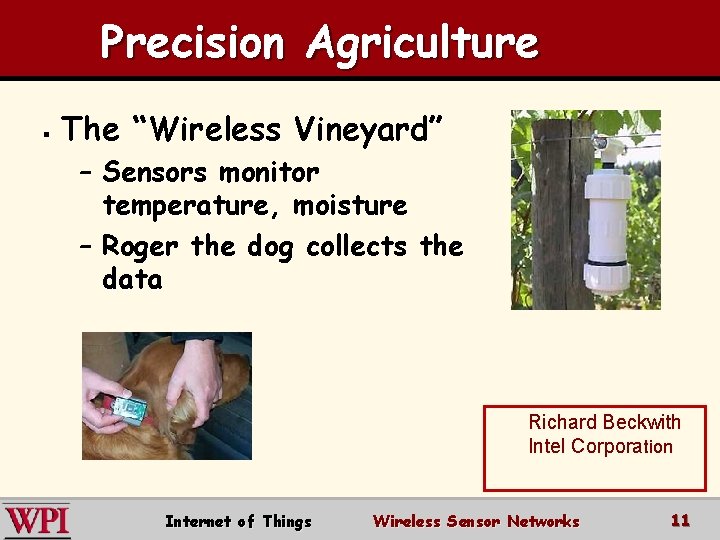 Precision Agriculture § The “Wireless Vineyard” – Sensors monitor temperature, moisture – Roger the