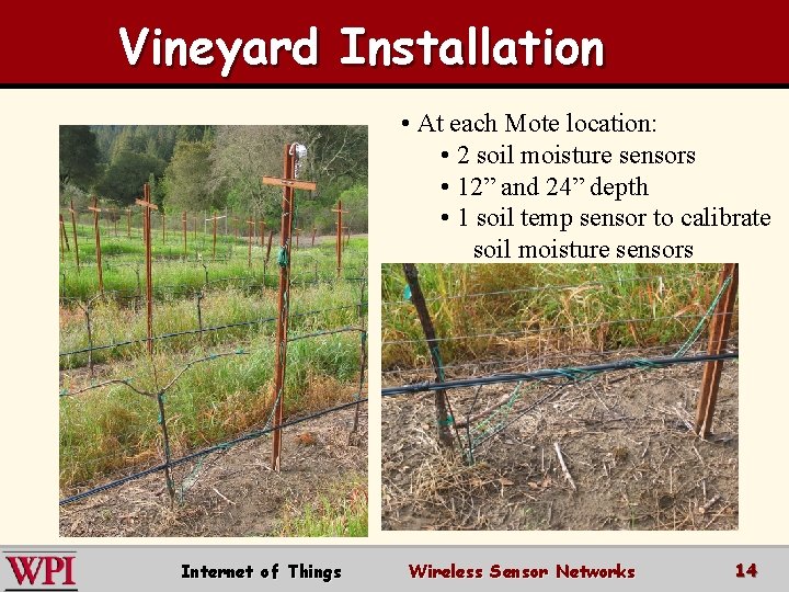 Vineyard Installation • At each Mote location: • 2 soil moisture sensors • 12”