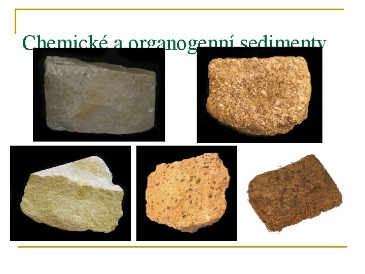 Chemické a organogenní sedimenty 