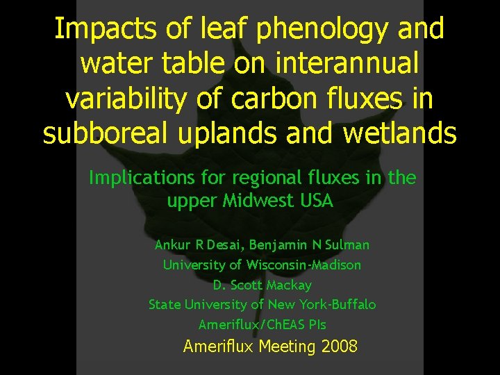 Impacts of leaf phenology and water table on interannual variability of carbon fluxes in