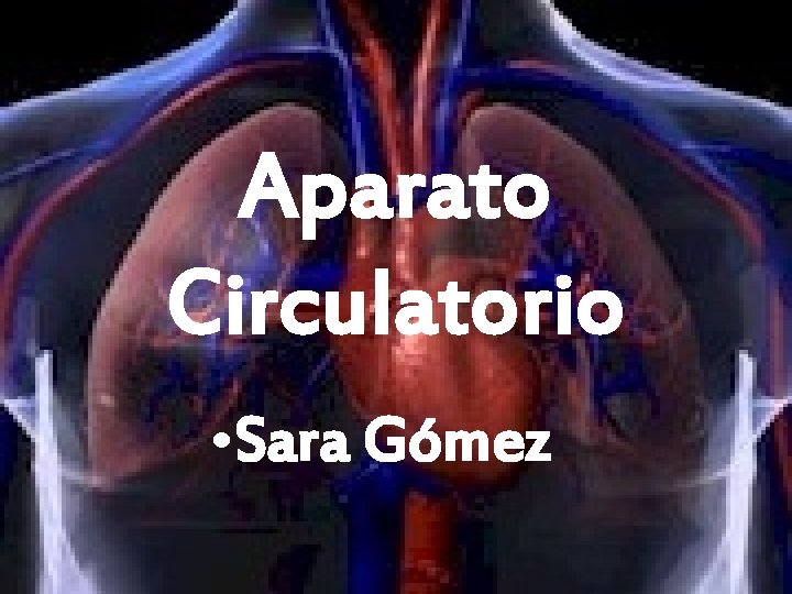 Aparato Circulatorio • Sara Gómez 