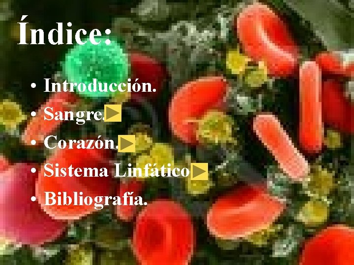 Índice: • • • Introducción. Sangre. Corazón. Sistema Linfático. Bibliografía. 