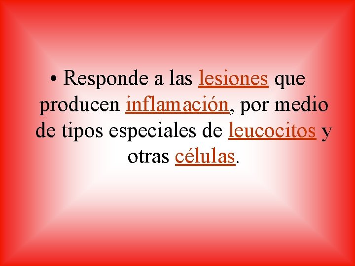  • Responde a las lesiones que producen inflamación, por medio de tipos especiales