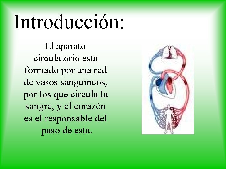 Introducción: El aparato circulatorio esta formado por una red de vasos sanguíneos, por los