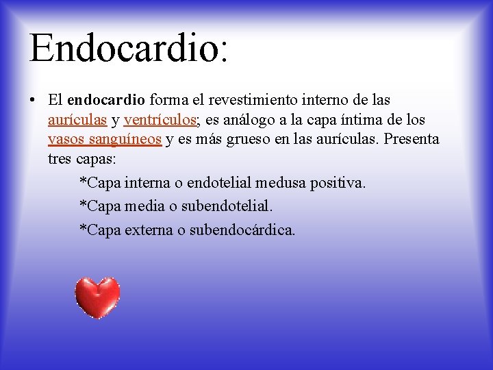 Endocardio: • El endocardio forma el revestimiento interno de las aurículas y ventrículos; es