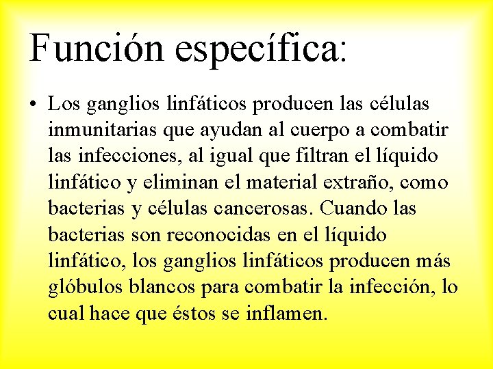 Función específica: • Los ganglios linfáticos producen las células inmunitarias que ayudan al cuerpo