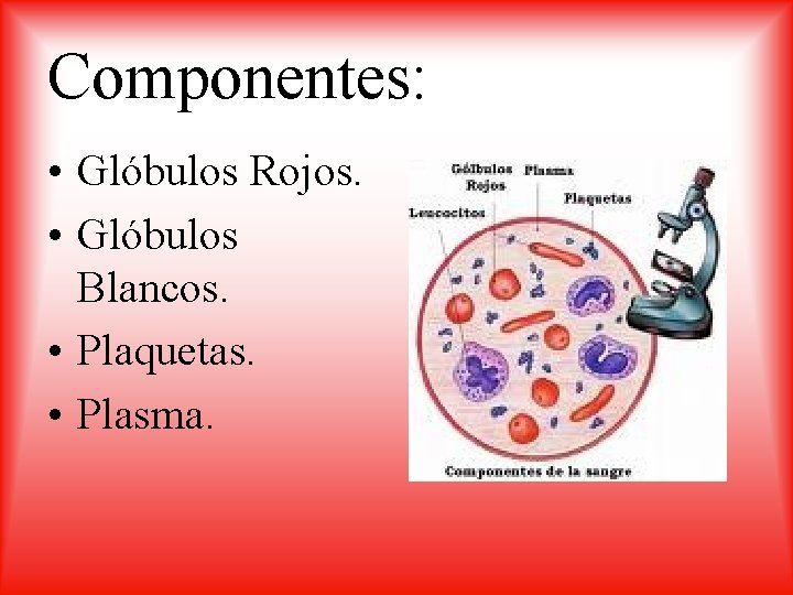 Componentes: • Glóbulos Rojos. • Glóbulos Blancos. • Plaquetas. • Plasma. 