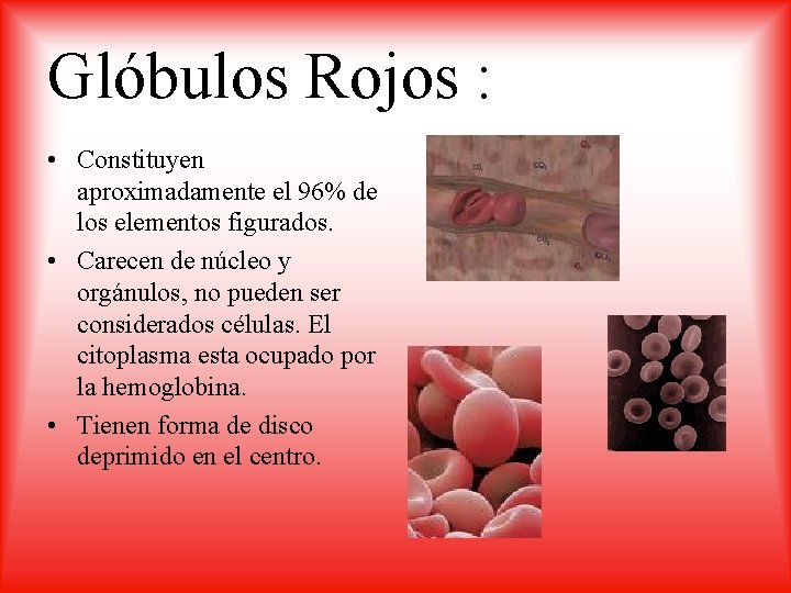 Glóbulos Rojos : • Constituyen aproximadamente el 96% de los elementos figurados. • Carecen