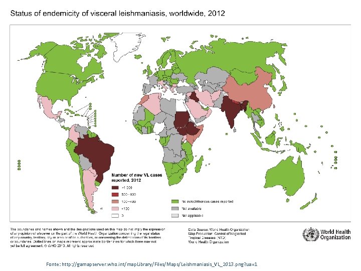 Fonte: http: //gamapserver. who. int/map. Library/Files/Maps/Leishmaniasis_VL_2013. png? ua=1 