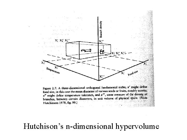 Hutchison’s n-dimensional hypervolume 