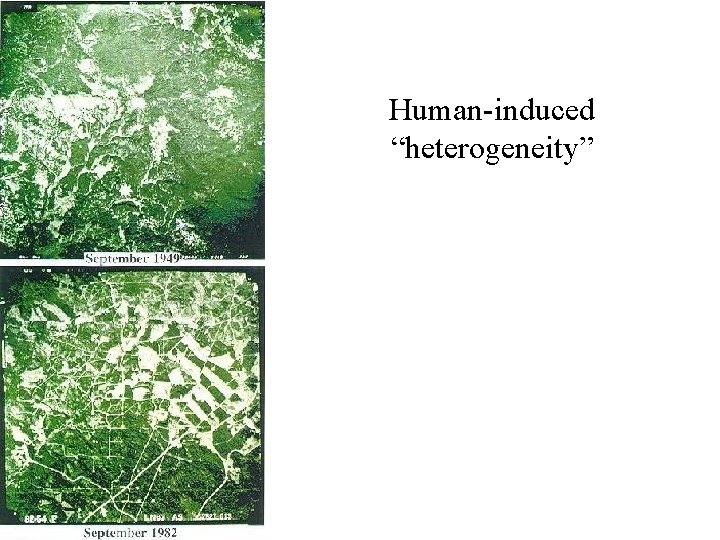 Human-induced “heterogeneity” 
