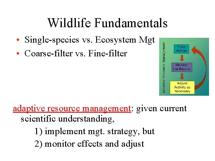 Wildlife Fundamentals • Single-species vs. Ecosystem Mgt • Coarse-filter vs. Fine-filter adaptive resource management: